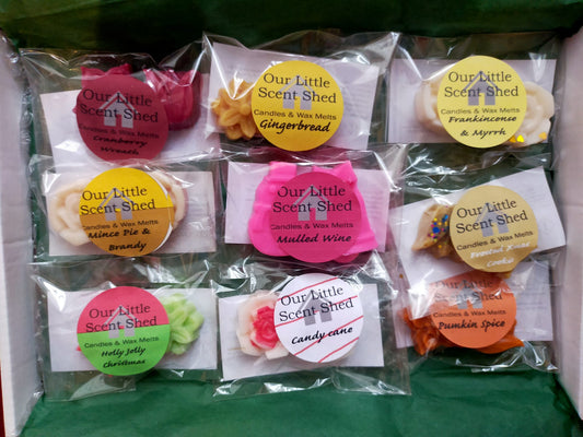 CHRISTMAS SAMPLE BOX