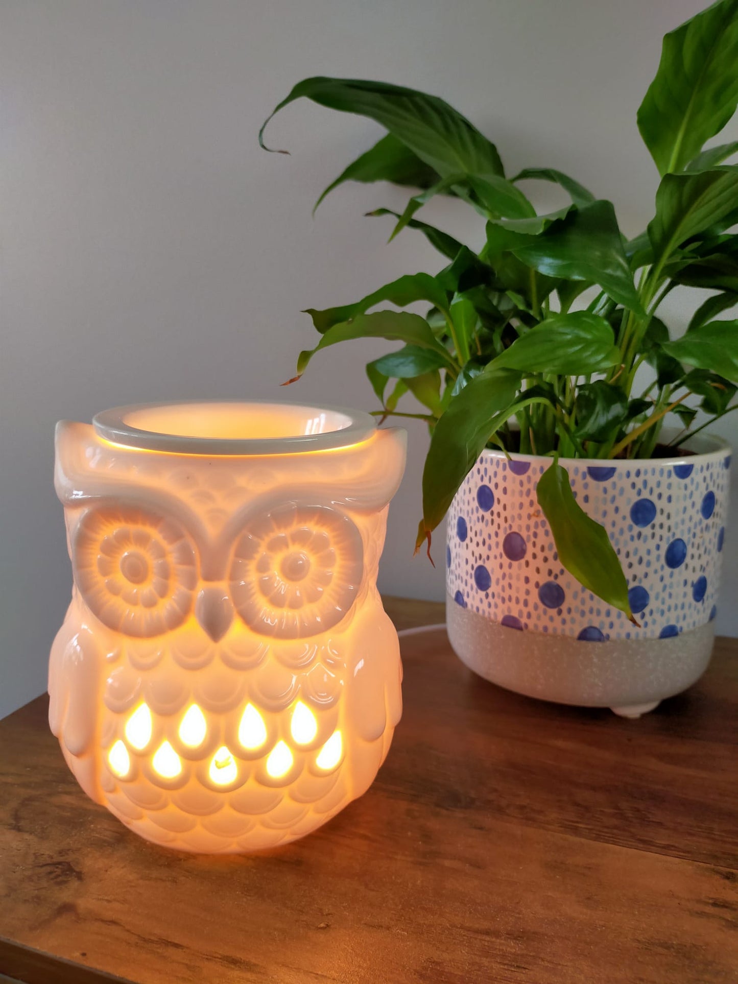 ELECTRIC OWL BURNER