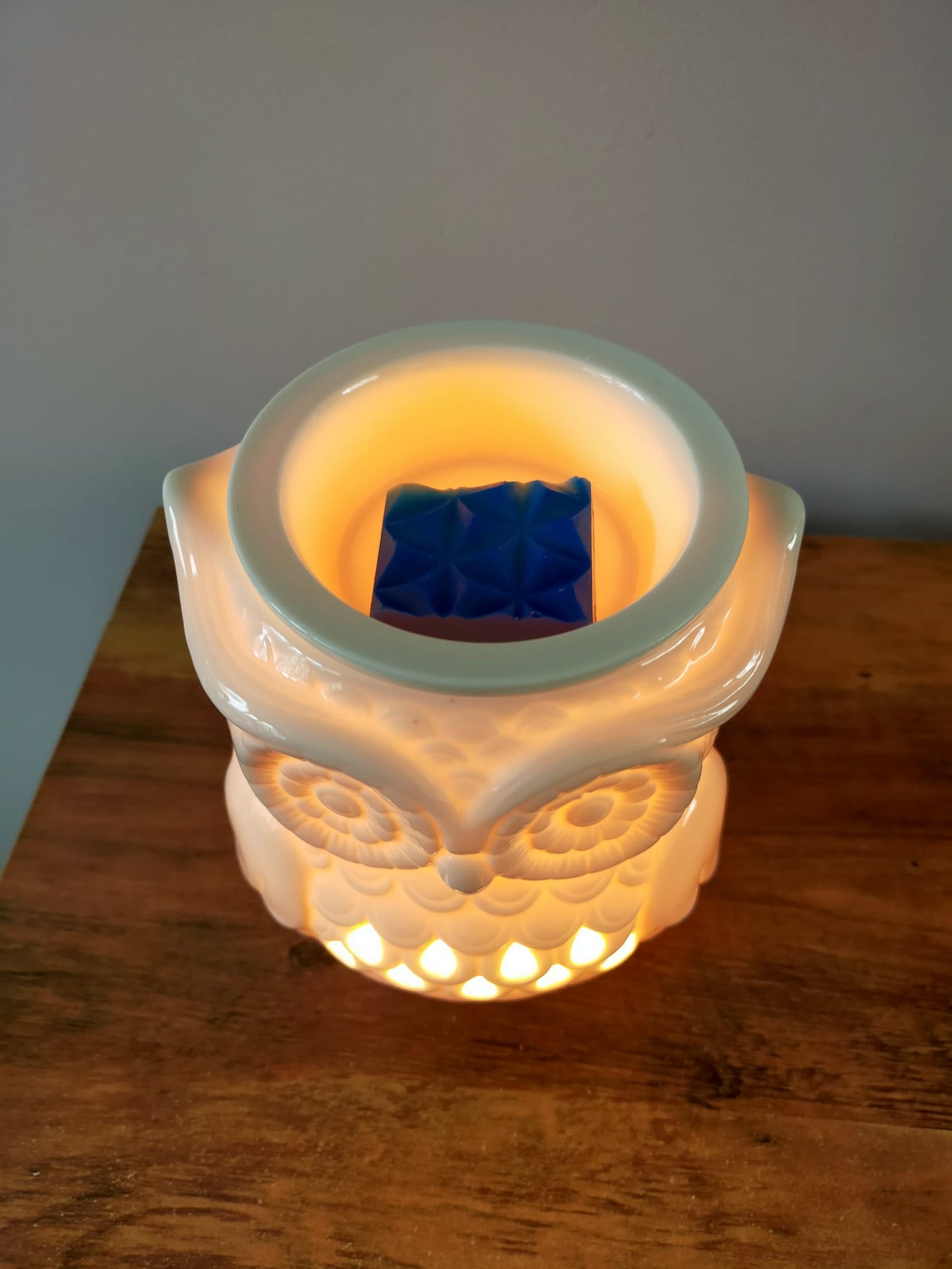 ELECTRIC OWL BURNER