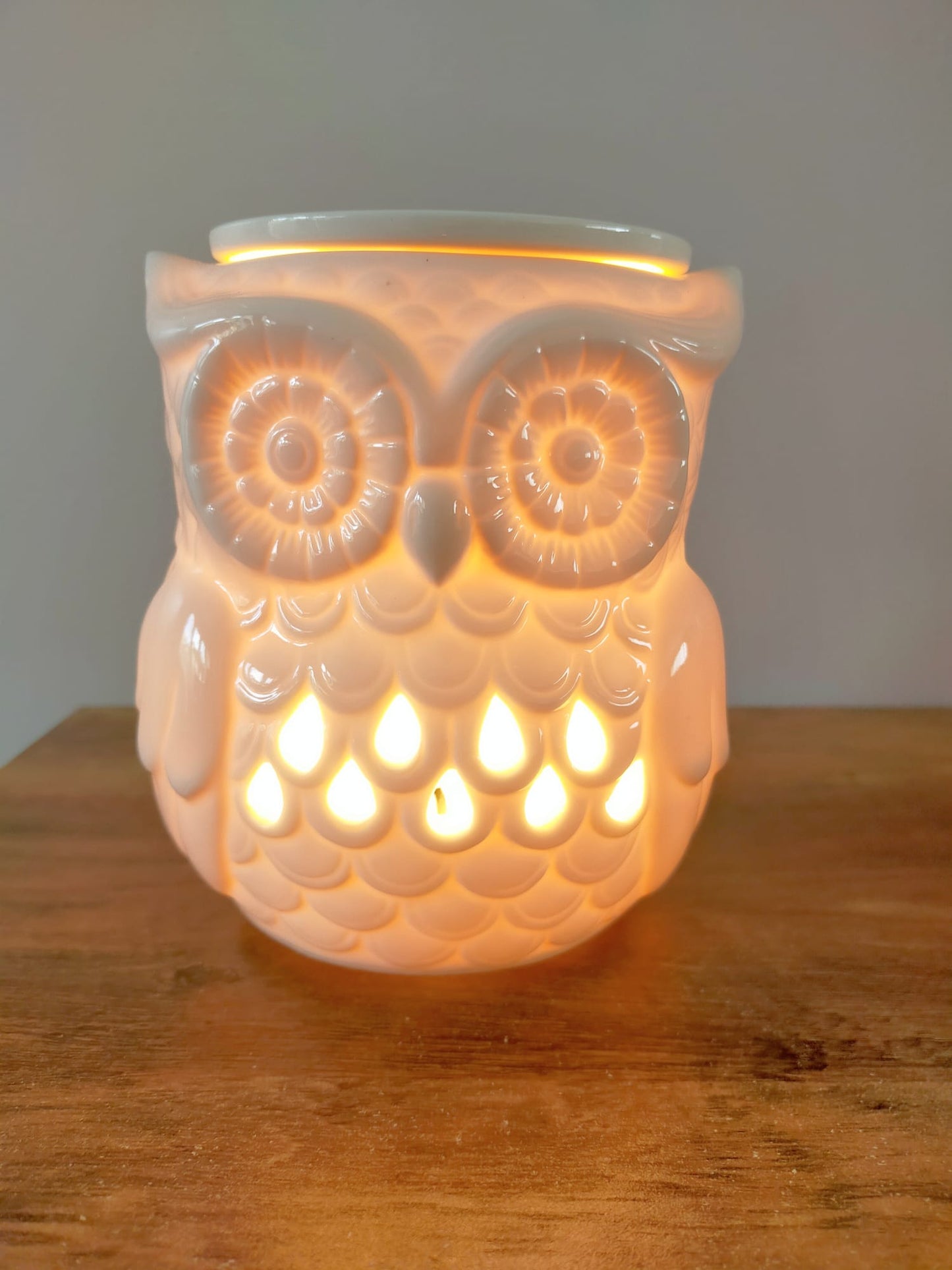 ELECTRIC OWL BURNER